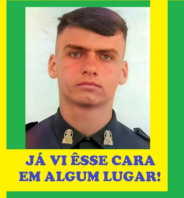 chico bonsai tweet media