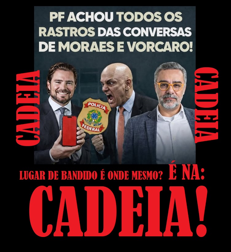 chico bonsai tweet media