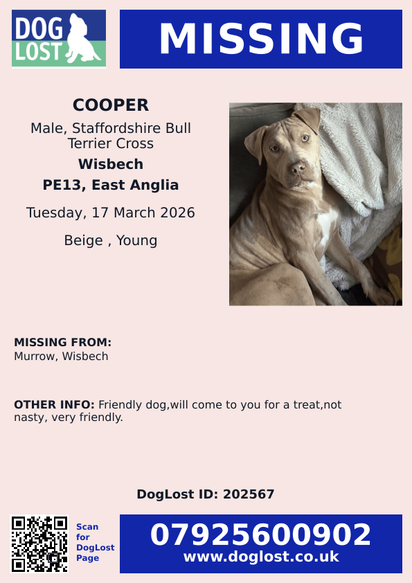 chris towers tweet media