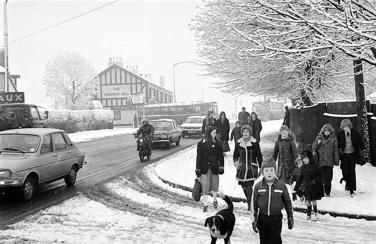 George Cochrane tweet media