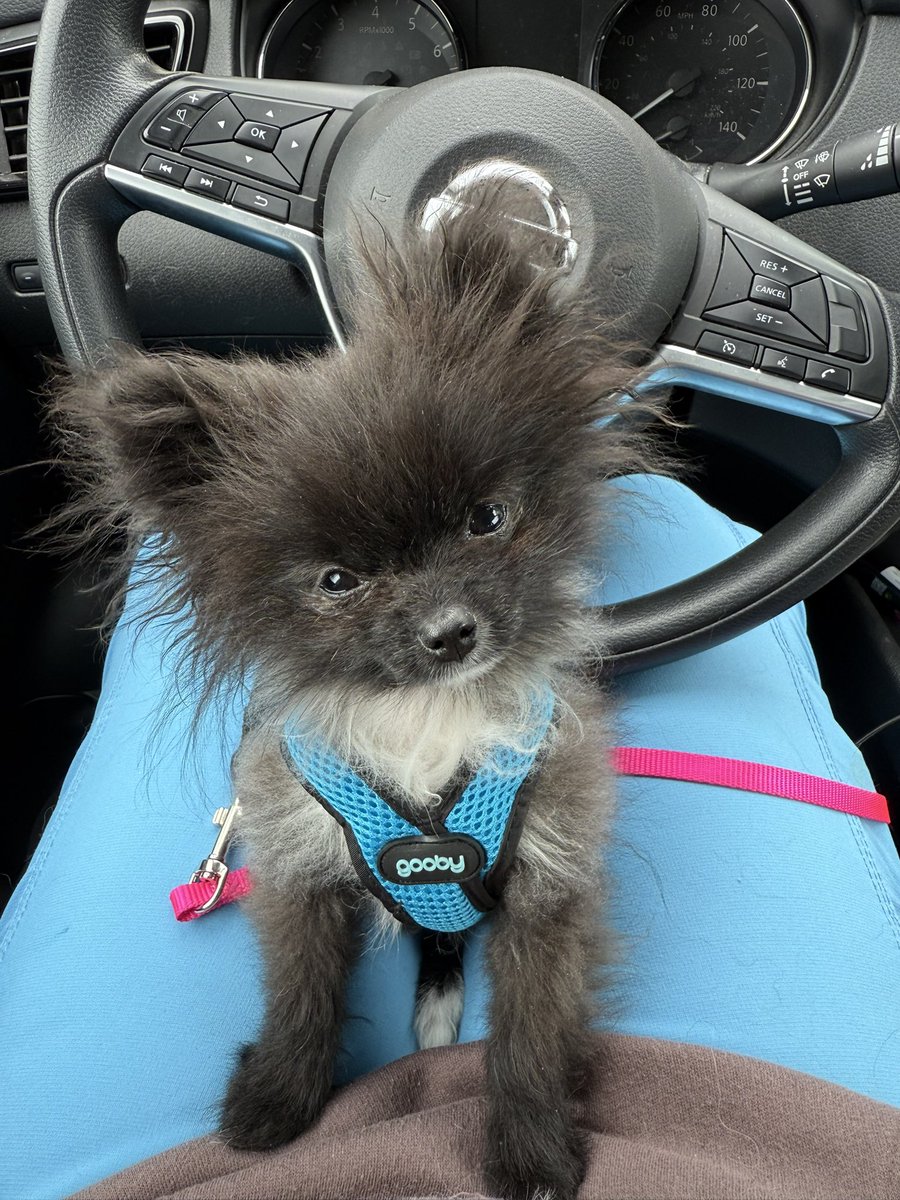 ER vet tech tweet media