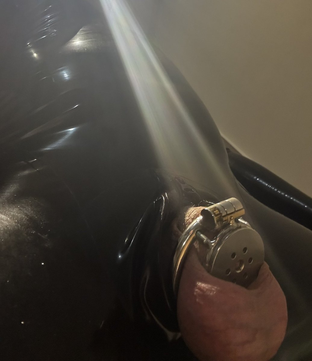 狗狗灰 tweet media