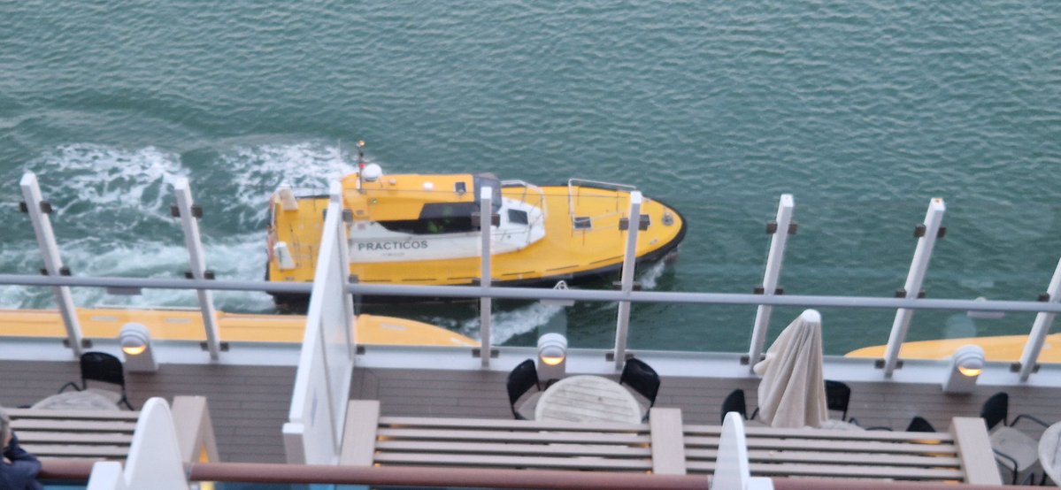 Rosie🌈 and Rollo🌈 🏴󠁧󠁢󠁳󠁣󠁴󠁿 🇪🇺 tweet media