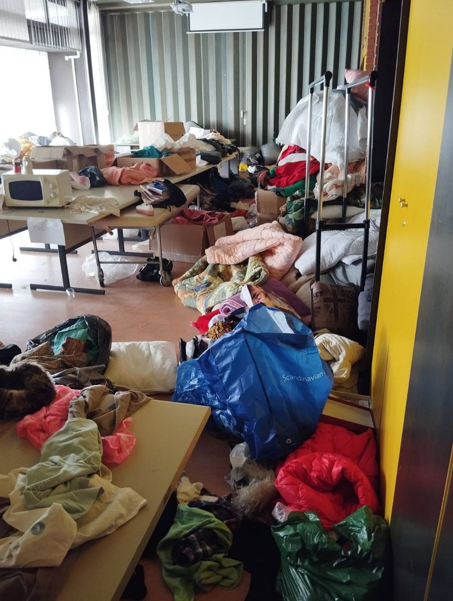 Јелица Јарић 🐝 tweet media