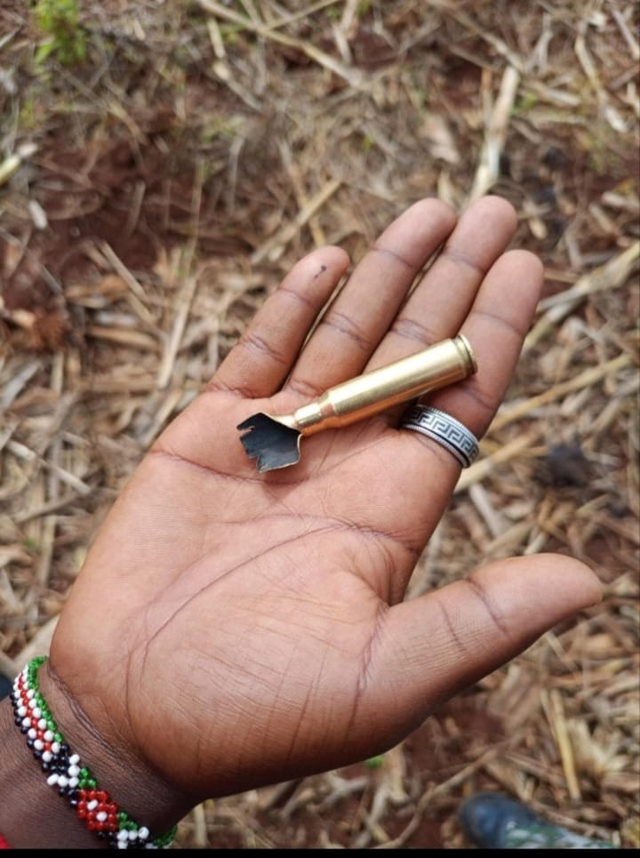 Revolutionary Students Commission tweet media