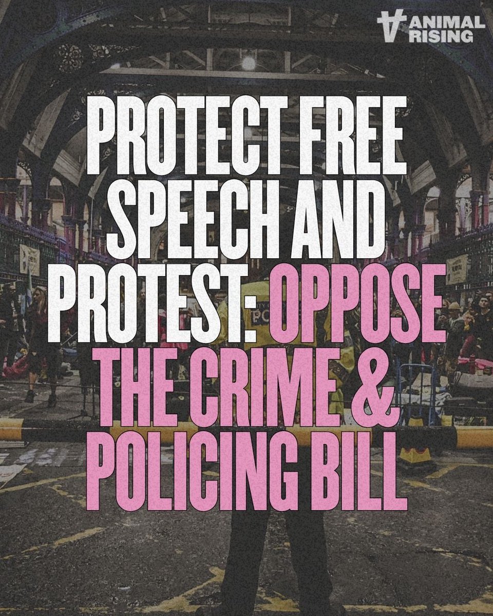 AnimalRising's tweet photo. ❗Sign the petition to call on the House of Commons and the House of Lords to reject the new aspects of the Bill that eradicate Britain’s right to effectively protest:
https://t.co/DVx5KURHIF https://t.co/JU91yVD816