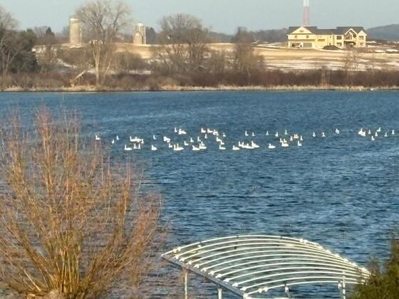 WISN 12 NEWS tweet media