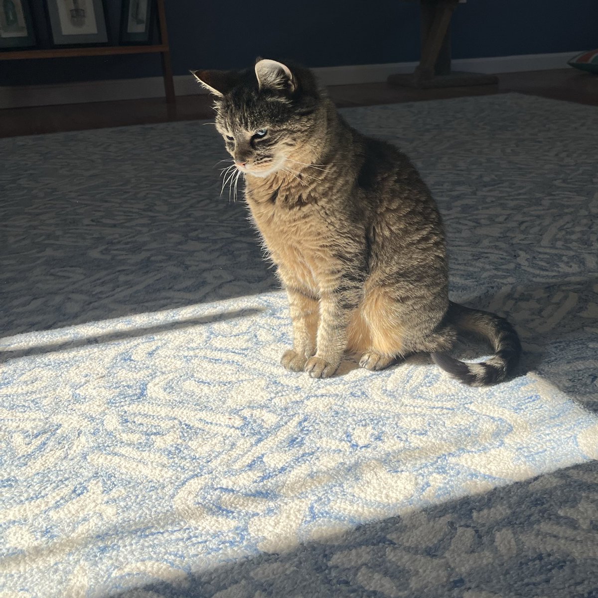 moppy :o) tweet media