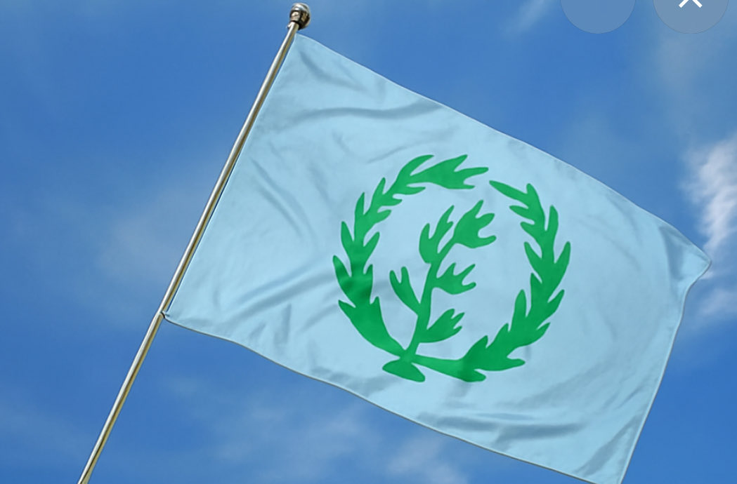 Henok ተኽለ ለገሰ 💙🧢 tweet media