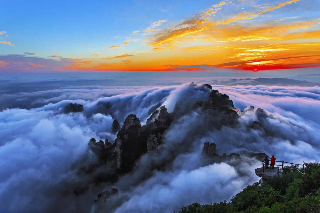 Think Green Cleaning tweet media