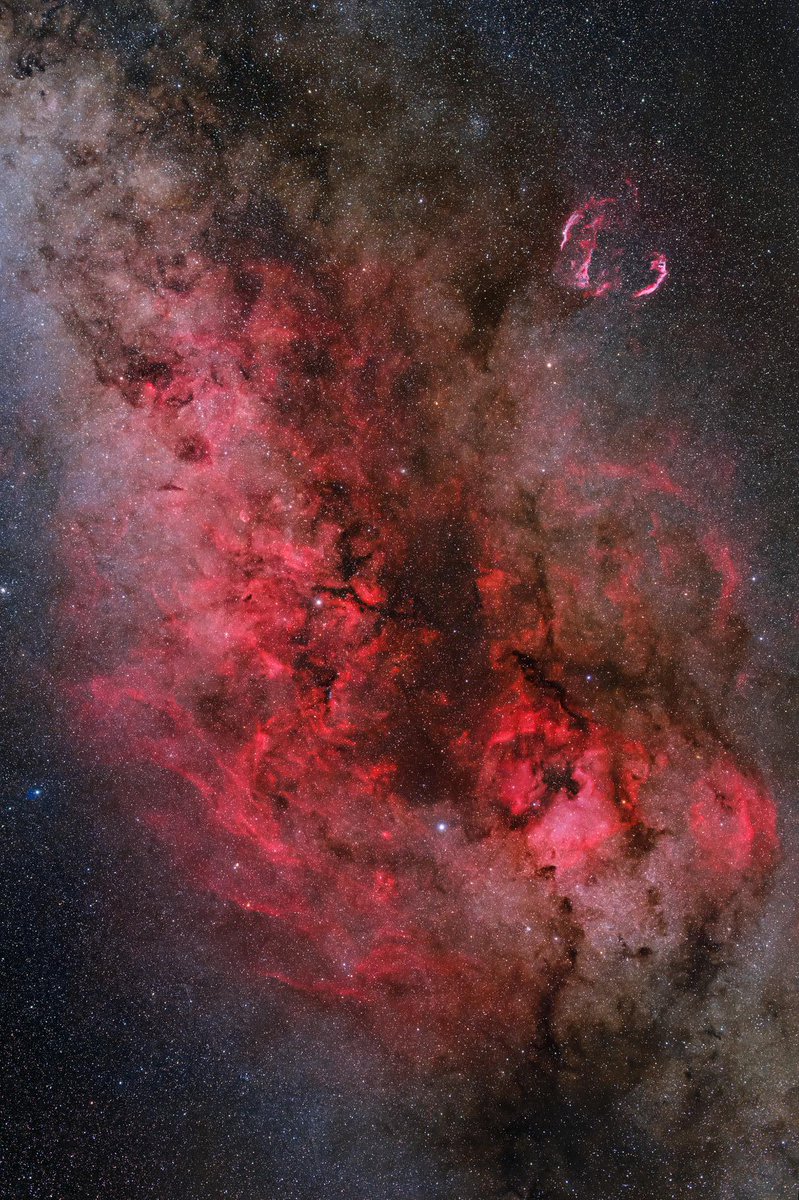 The Science Post tweet media