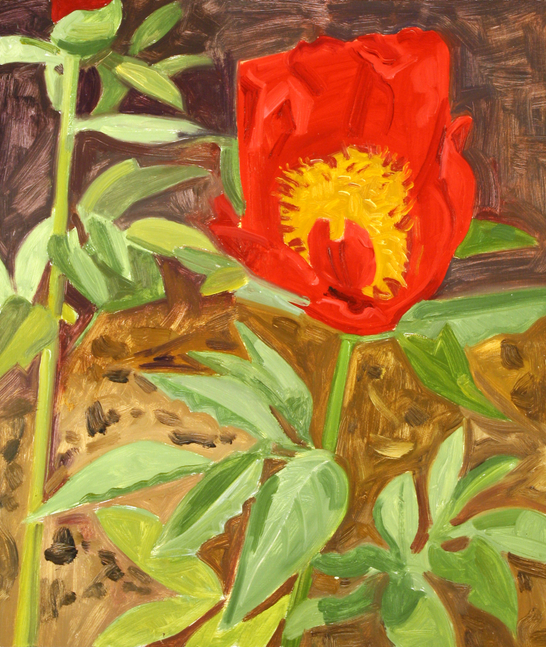 twistopherrobin's tweet image. #Art #LoisDodd