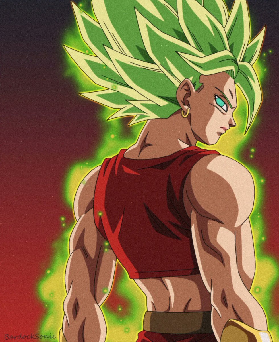 BardockSonic tweet media