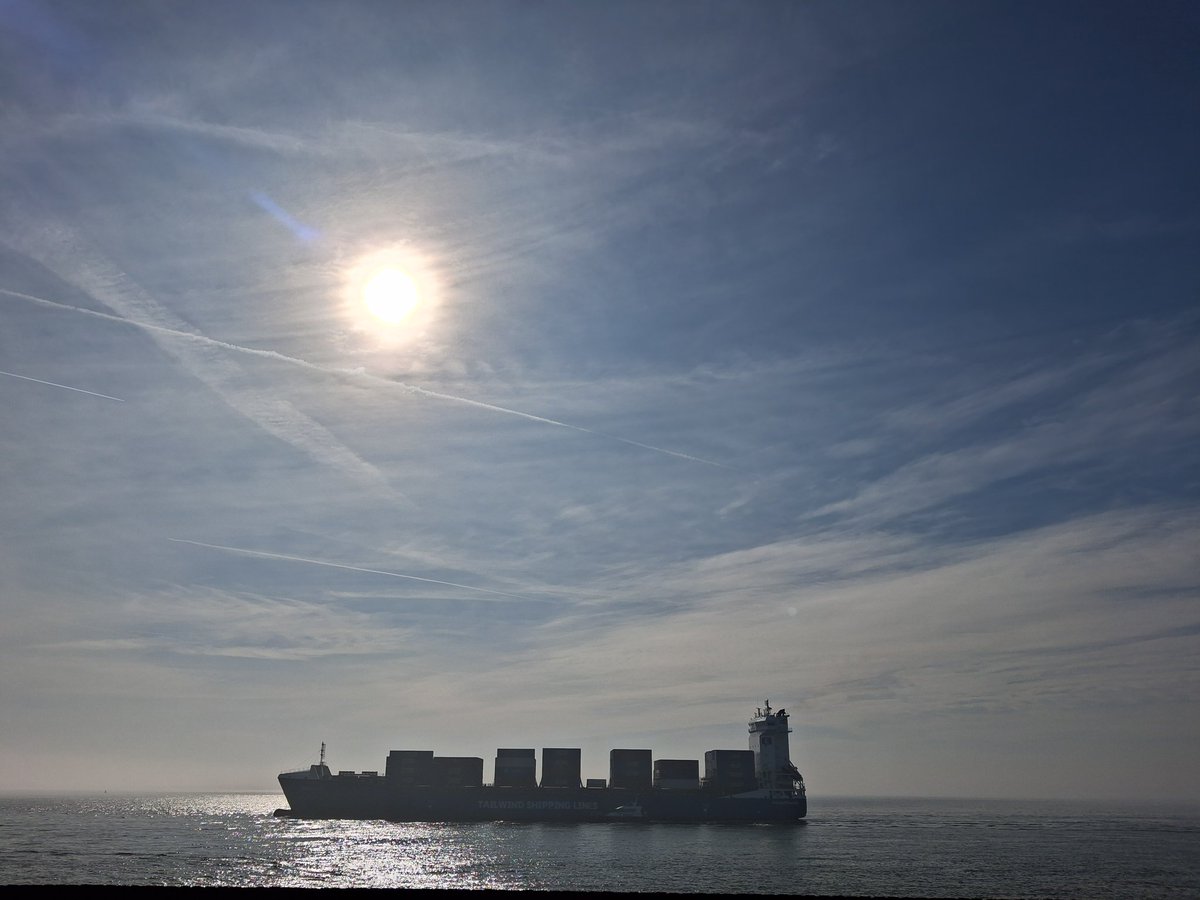 🌊Lizzy✨ tweet media