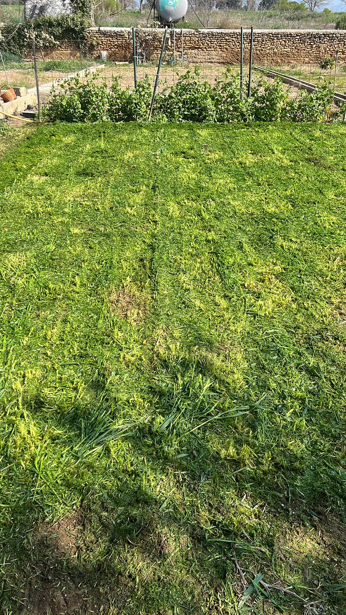 Lo siguiente los tomates pero hasta mayo nada