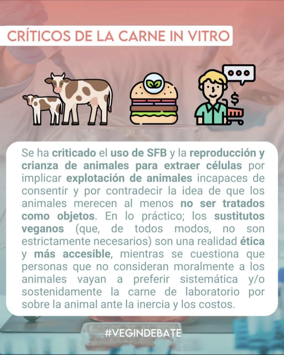 Filosofía Vegana tweet media