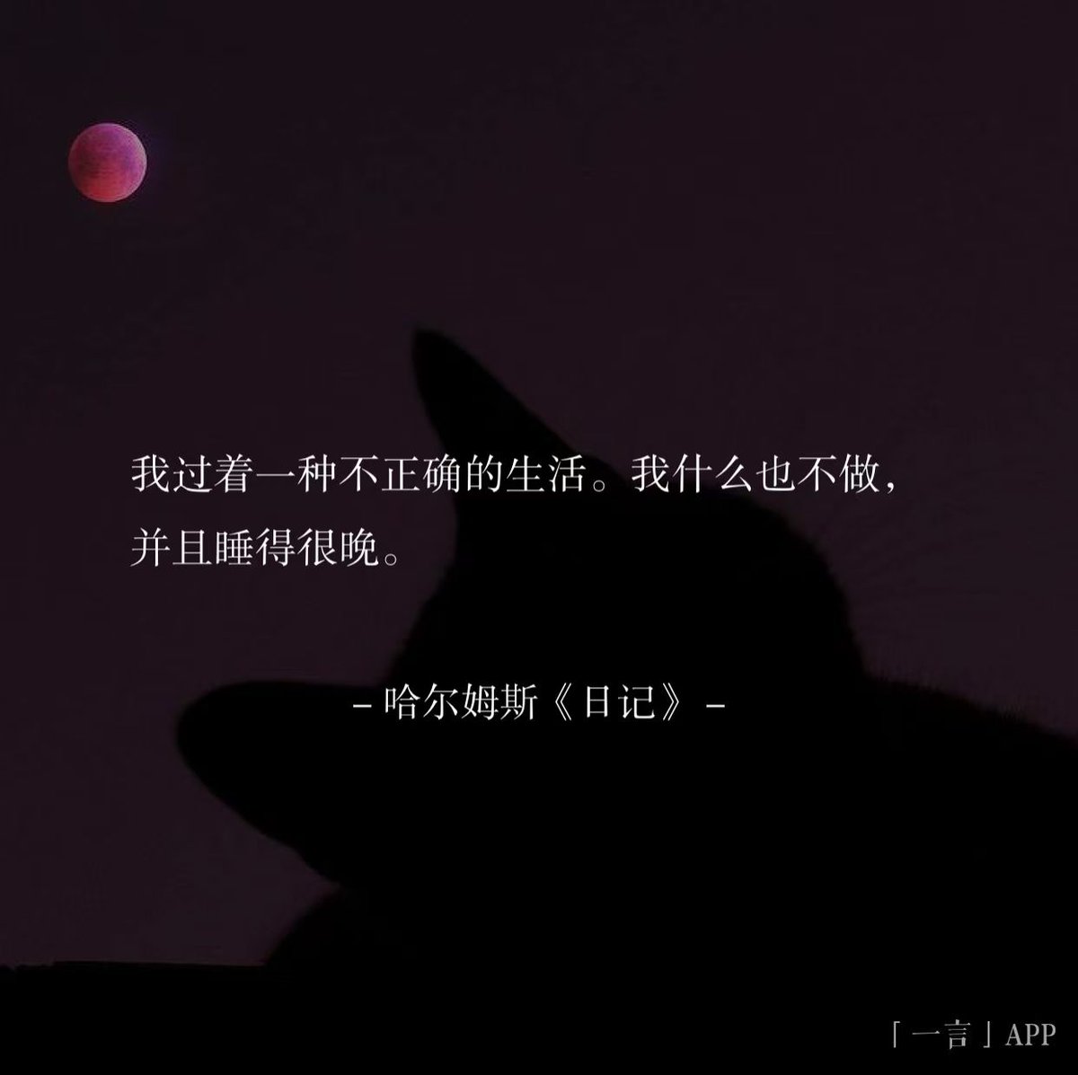 Racco Ho (HYT) tweet media