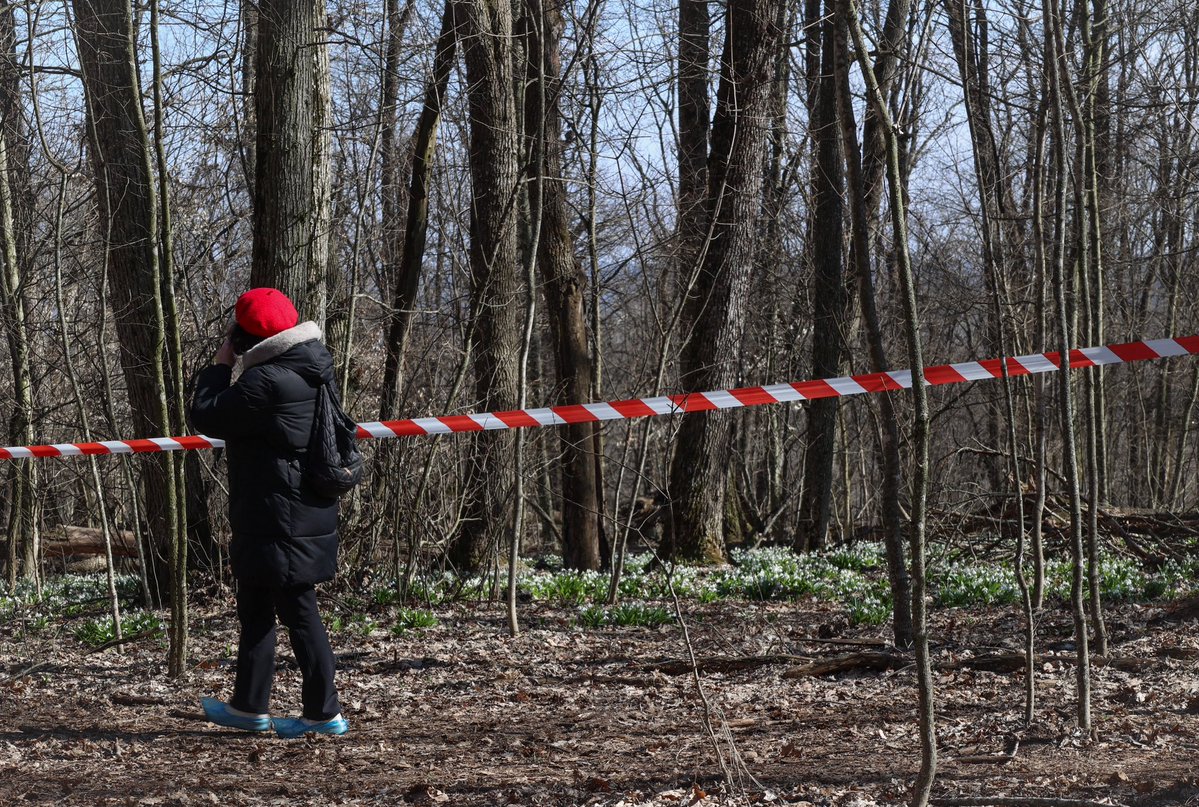 Yaroslava tweet media