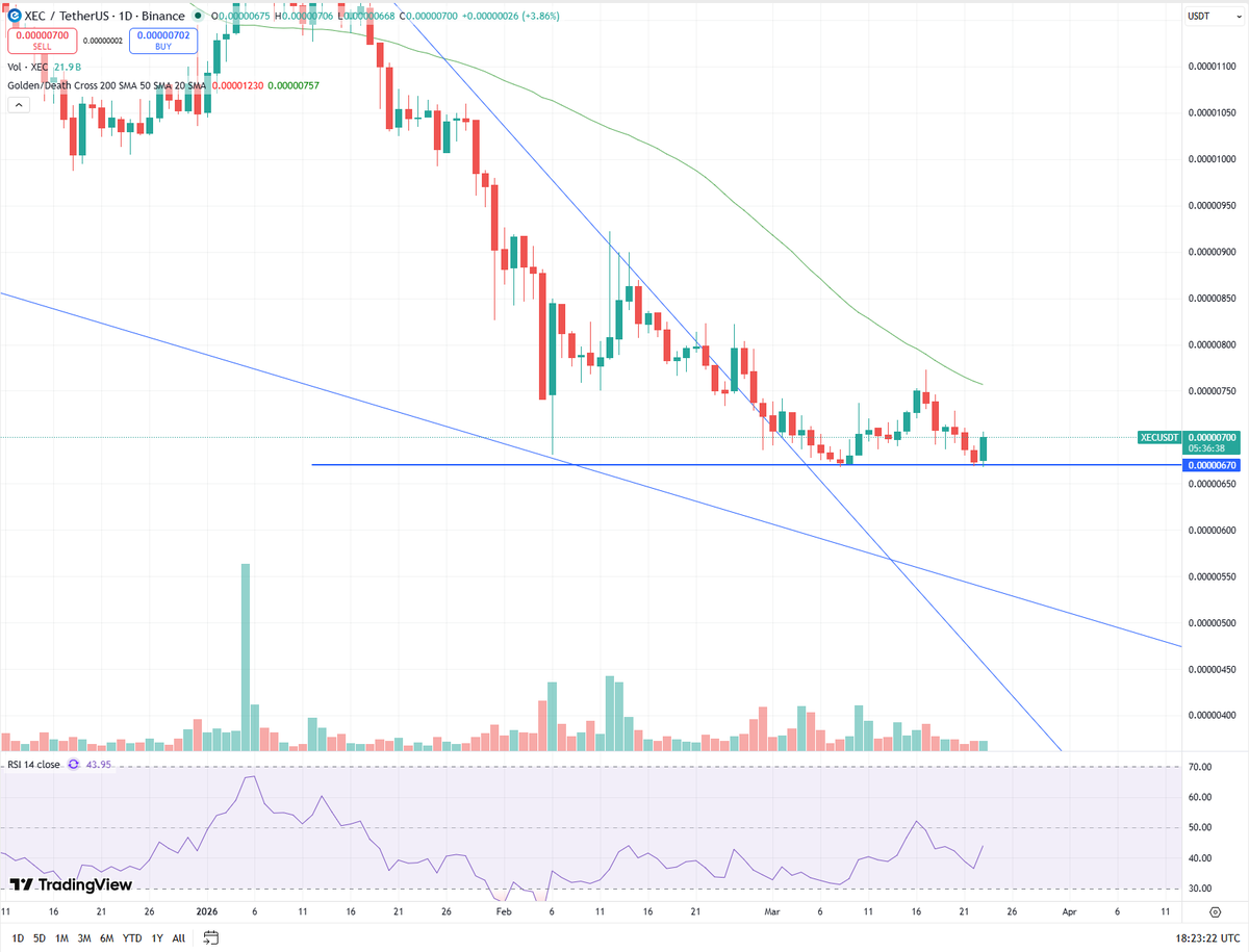 Cain's Chronicles tweet media