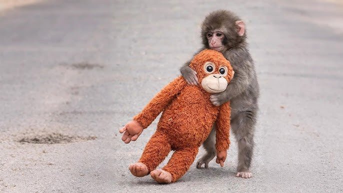 Magic Degen 🪄 tweet media