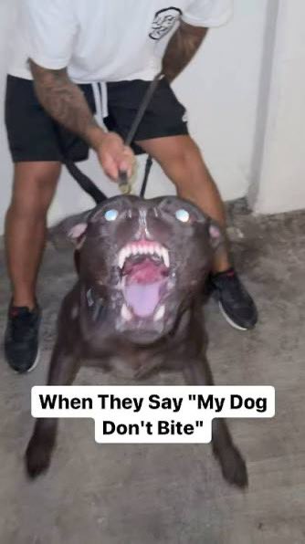 samwells tweet media