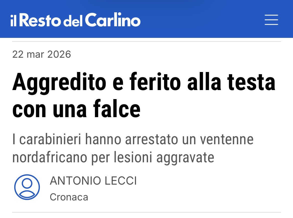 Francesca Totolo tweet media
