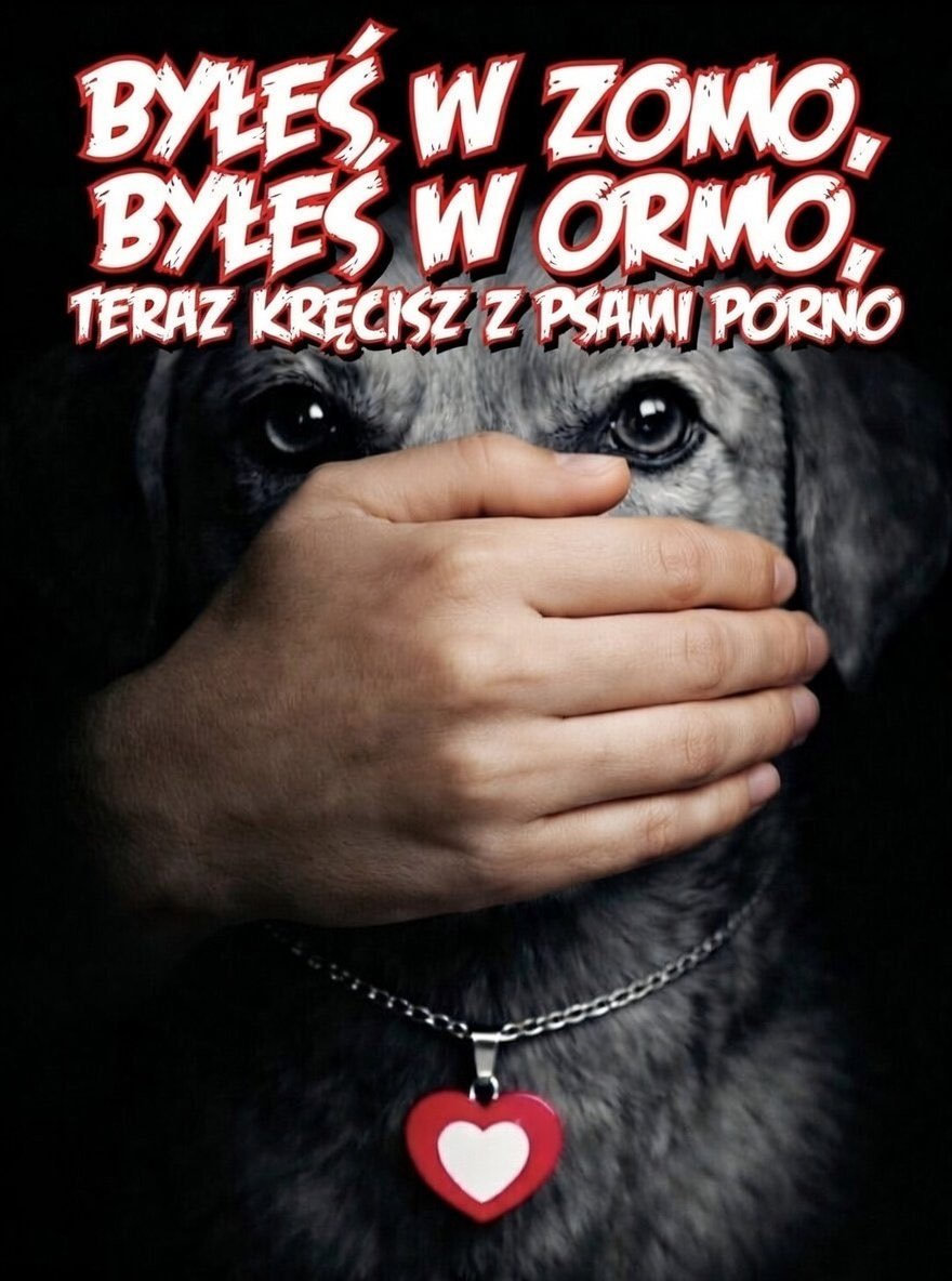 Dr Marcin Hartman 🏛️ tweet media