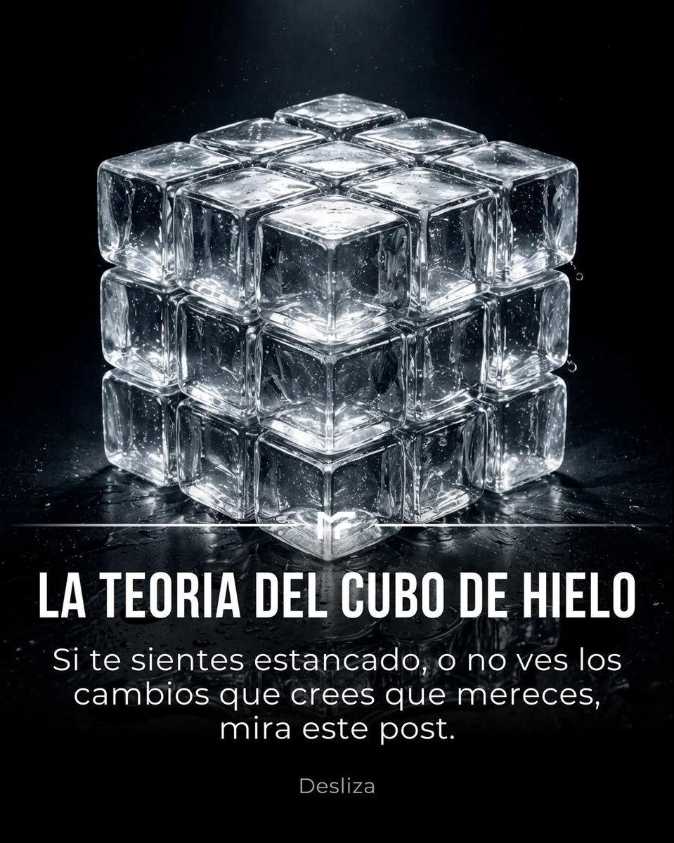 Rafa Alpha tweet media