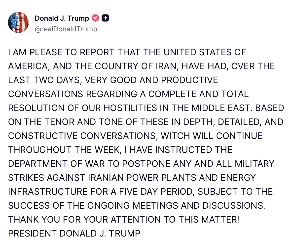 Absurdo Oso Caimán tweet media