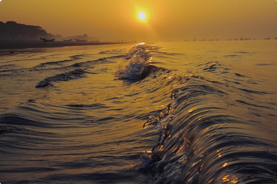 Association des Climato-Réalistes tweet media