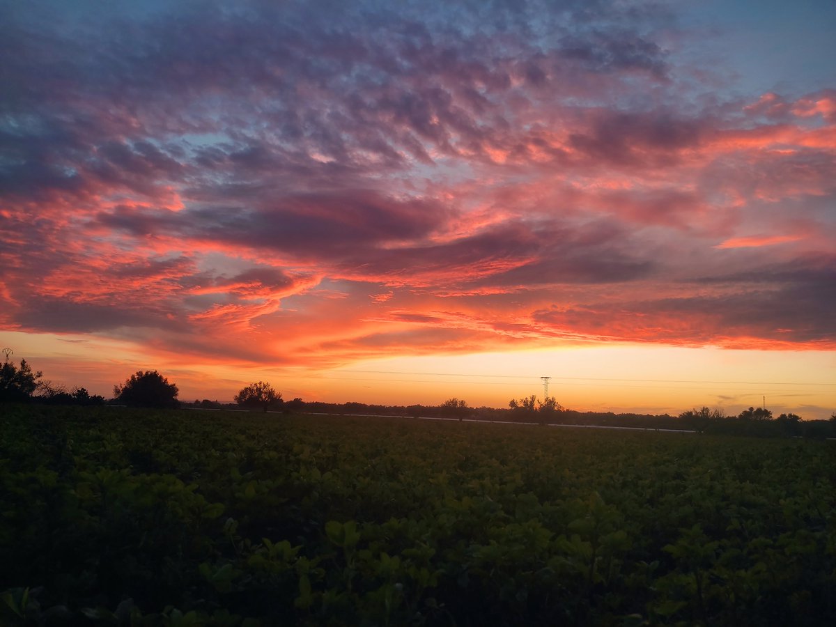 Dusk Lens tweet media