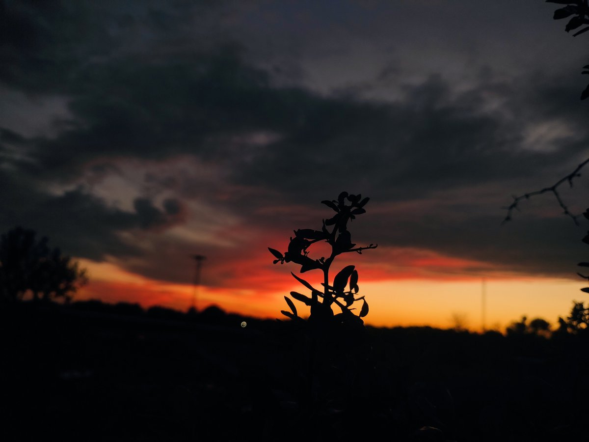 Dusk Lens tweet media