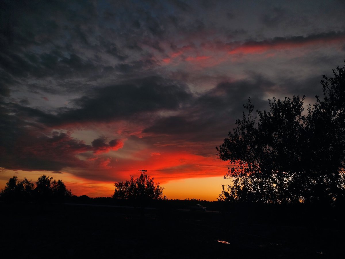 Dusk Lens tweet media