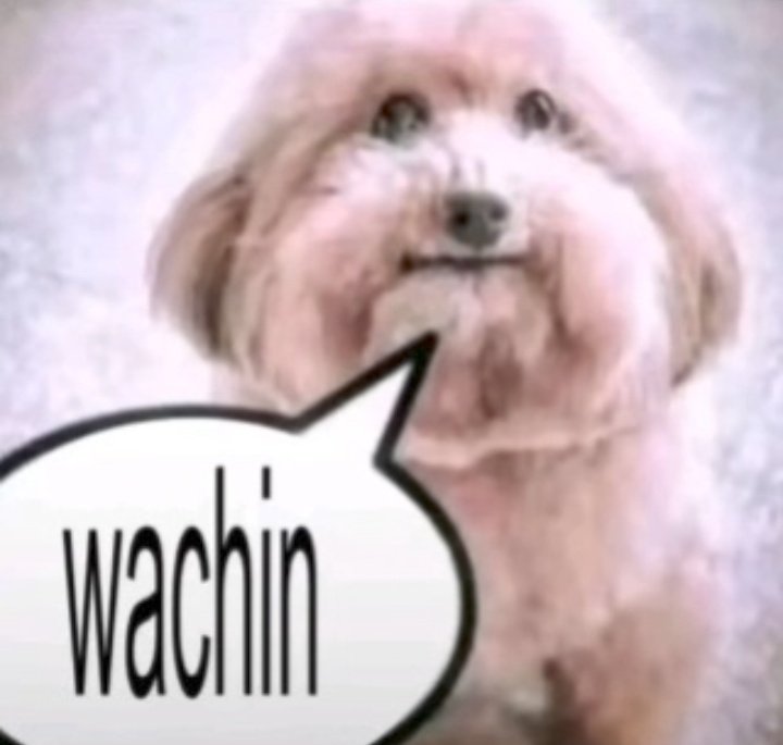 𝖗𝖆𝖒𝖎_ tweet media