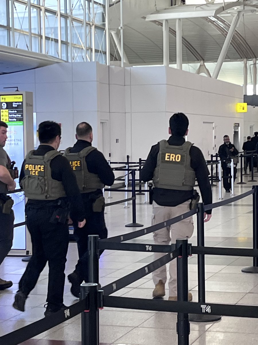 Noah Hurowitz tweet media