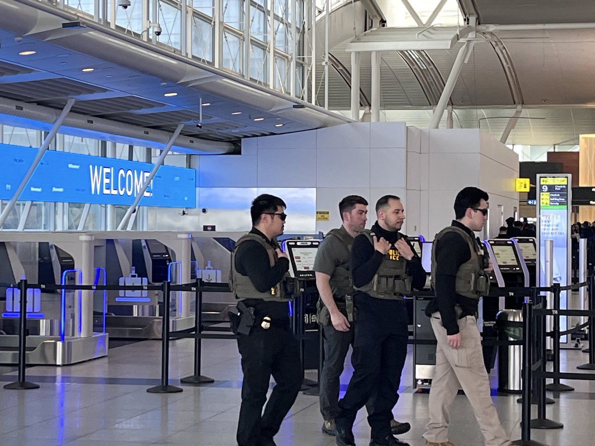 Noah Hurowitz tweet media