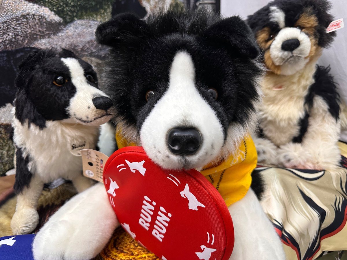 ꧁༒Леопольд༒꧂ tweet media