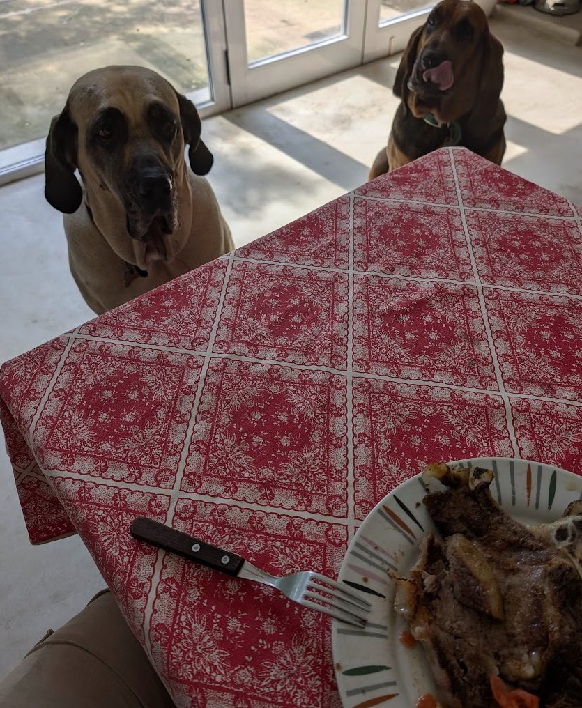 Gustavo V tweet media