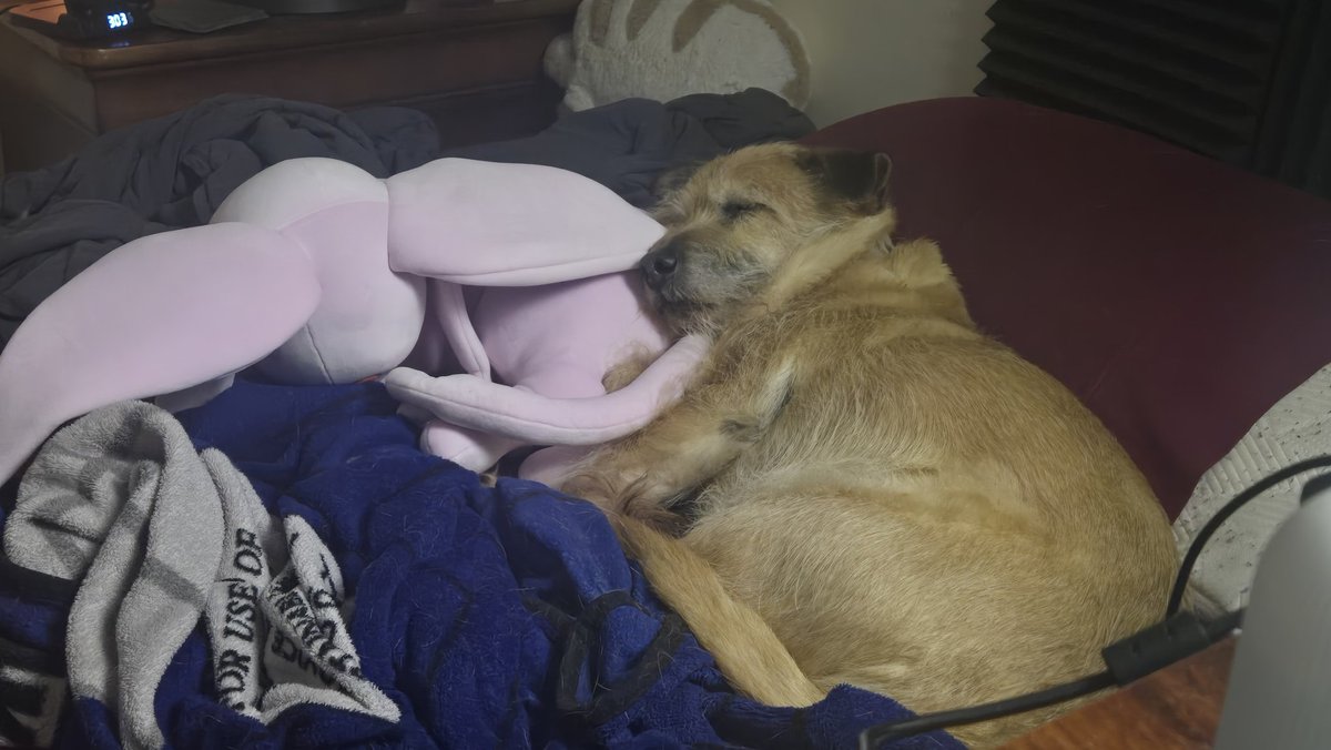 Blier 💥 tweet media