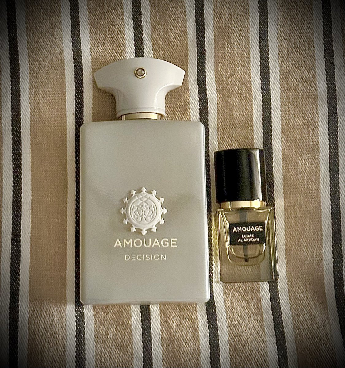 𝙼3𝙳 𝕏 tweet media