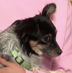 Roziş✨ tweet media