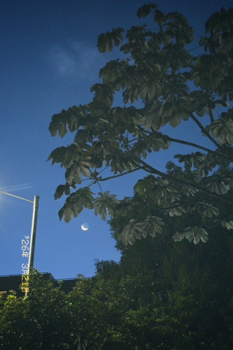 Ángela 🐆 tweet media