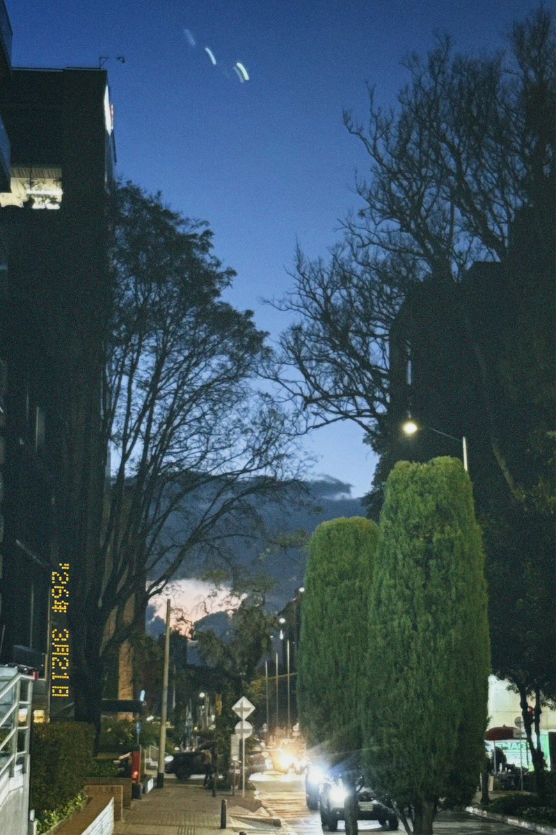 Ángela 🐆 tweet media