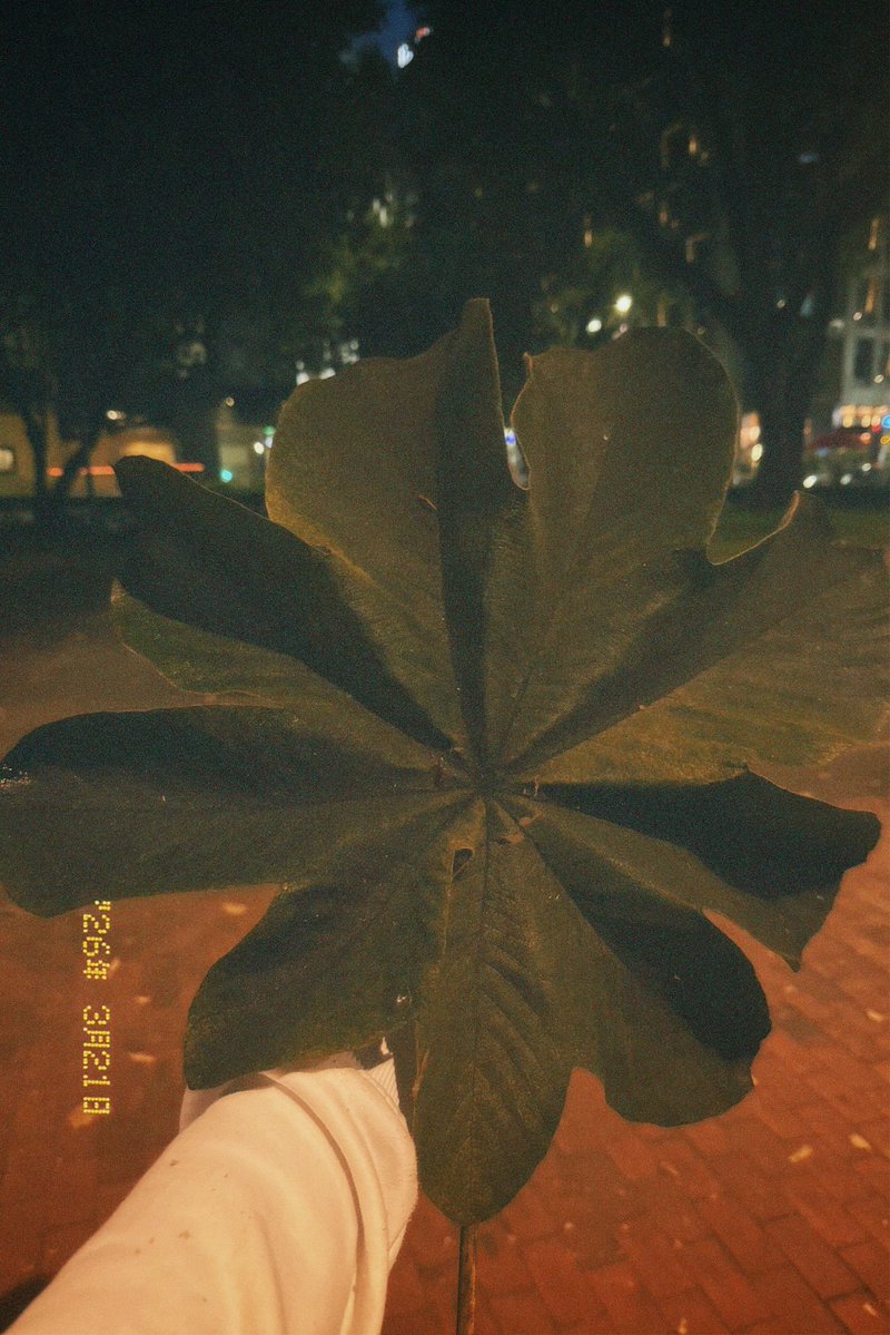 Ángela 🐆 tweet media