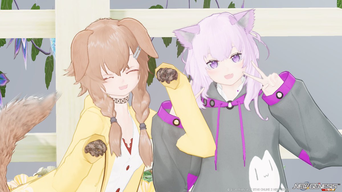 ʚ モコ ɞ꒰ ᐡ｡• · •｡ᐡ ꒱ tweet media