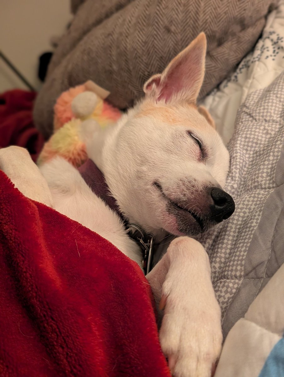 Yusef Taufiq tweet media