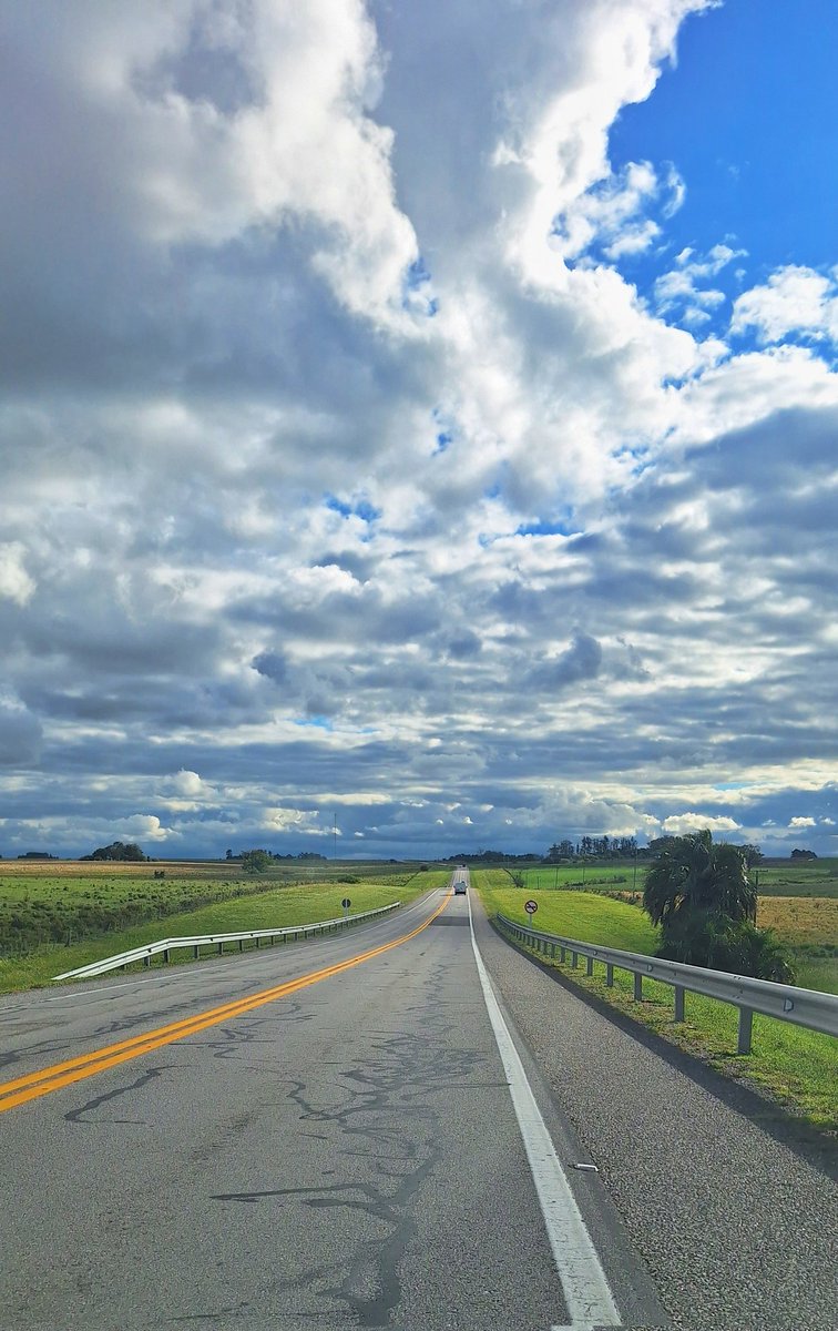 La Agregada tweet media