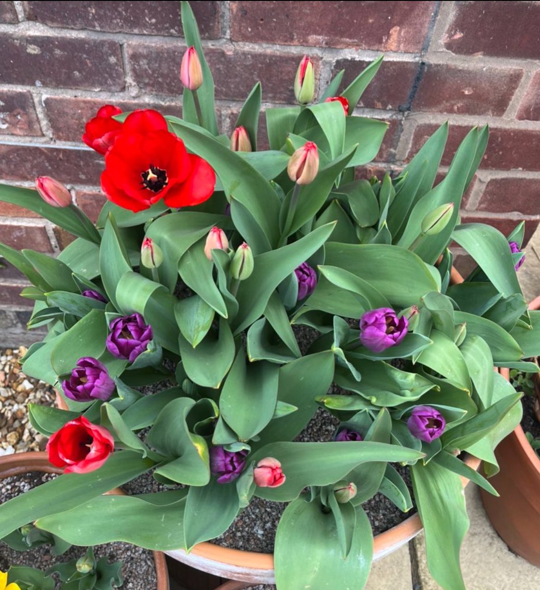 Andy Jones tweet media