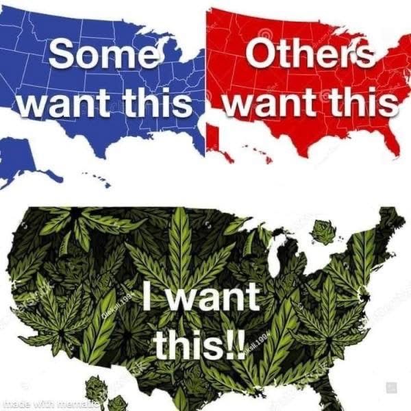 Medical Grower 420 🇺🇸 tweet media