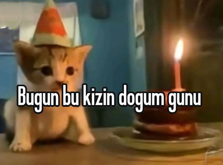 schlimazel tweet media